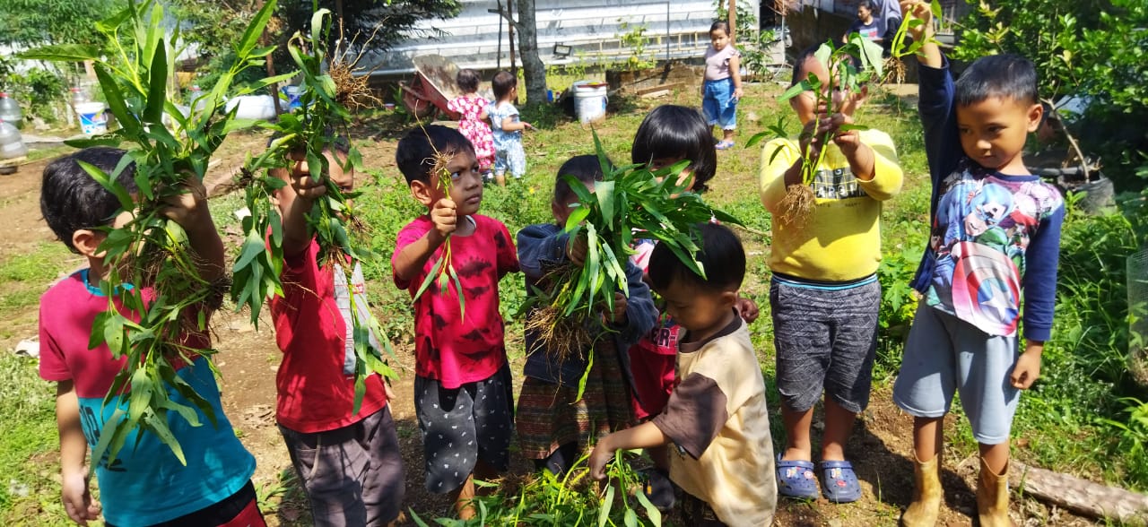 Kunjungan Daycare