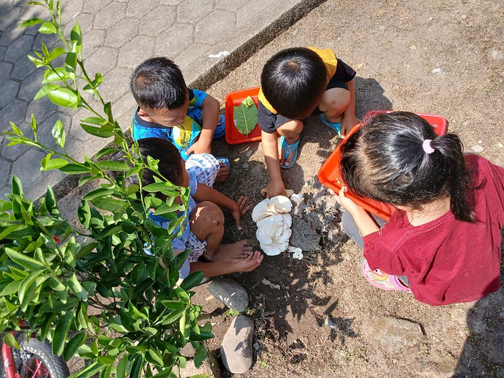 Aktivitas Luar Ruangan